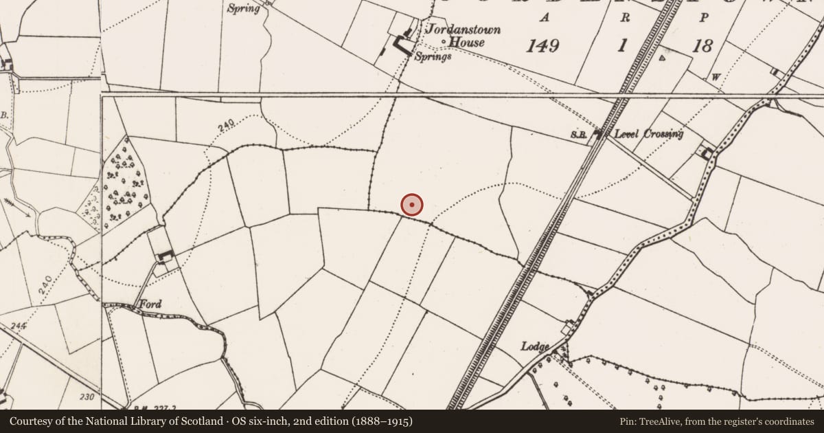 Ordnance Survey six-inch map, 2nd edition (1888–1915) covering the location of Structure, Jordanstown, County Kilkenny, with a pin at the register's coordinates