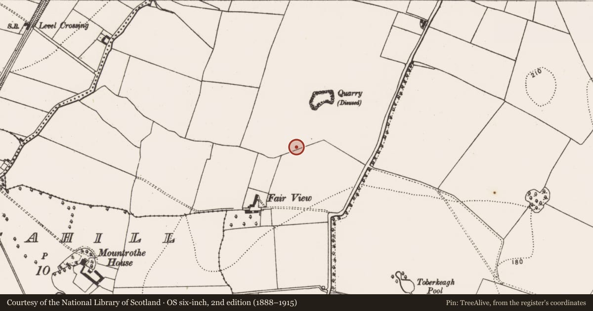 Ordnance Survey six-inch map, 2nd edition (1888–1915) covering the location of Enclosure, Kilmacahill, County Kilkenny, with a pin at the register's coordinates