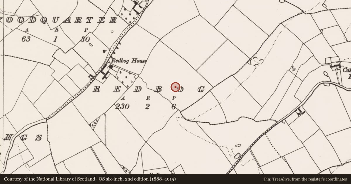 Ordnance Survey six-inch map, 2nd edition (1888–1915) covering the location of Enclosure, Redbog, County Kilkenny, with a pin at the register's coordinates