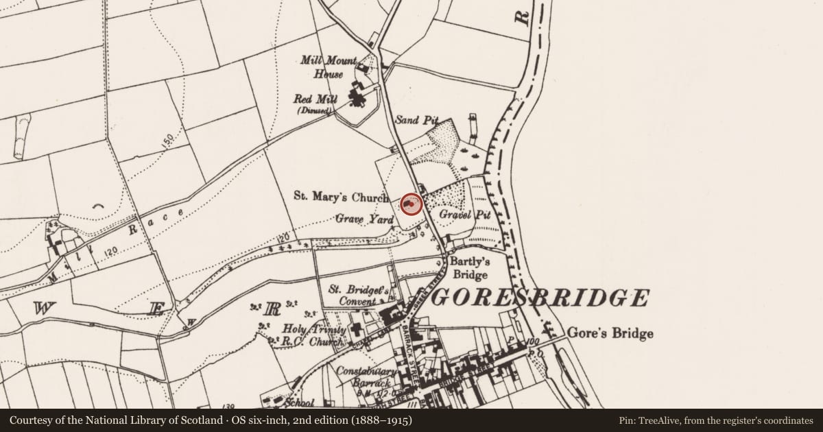 Ordnance Survey six-inch map, 2nd edition (1888–1915) covering the location of Font (present location), Grange Lower, County Kilkenny, with a pin at the register's coordinates