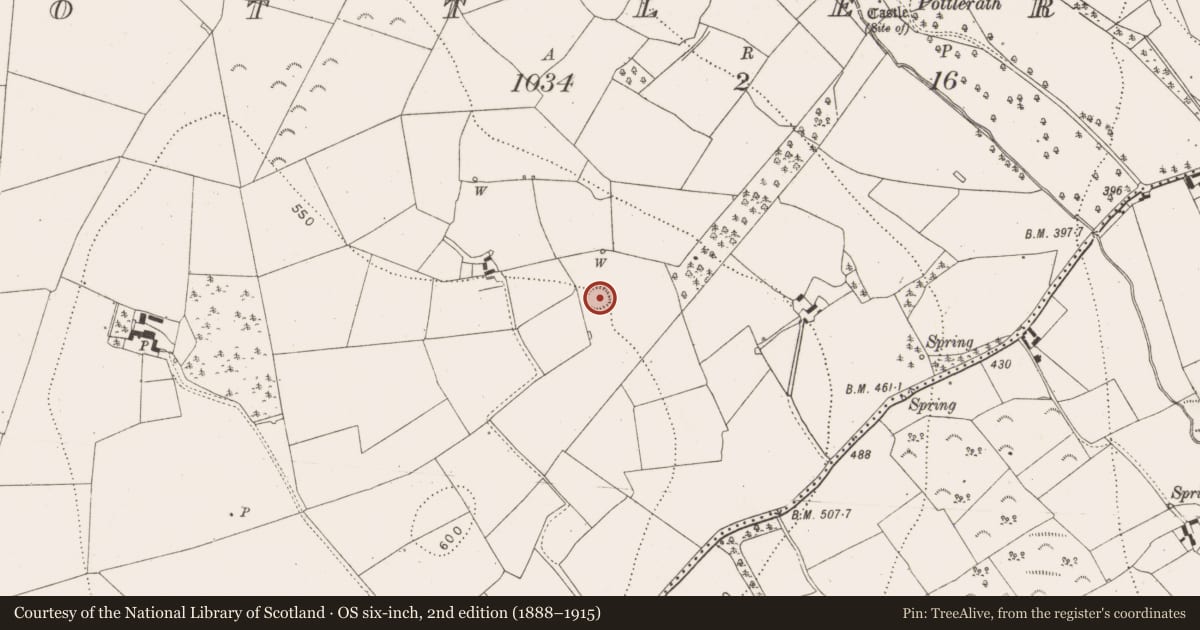 Ordnance Survey six-inch map, 2nd edition (1888–1915) covering the location of Ringfort - unclassified, Pottlerath, County Kilkenny, with a pin at the register's coordinates