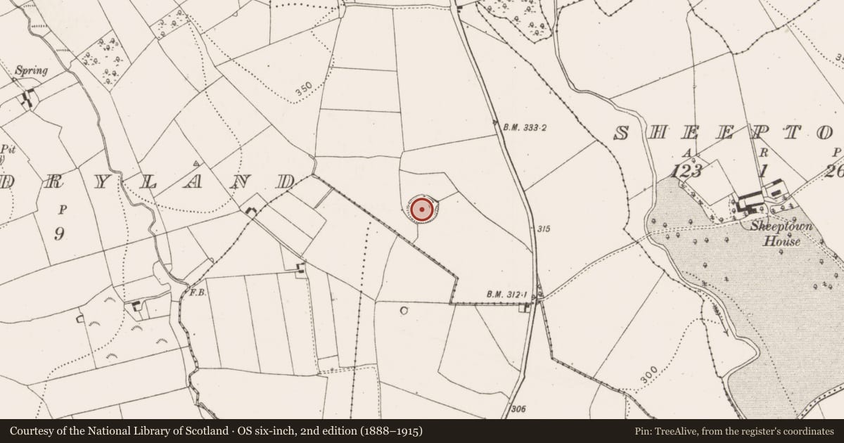 Ordnance Survey six-inch map, 2nd edition (1888–1915) covering the location of Enclosure, Brittasdryland, County Kilkenny, with a pin at the register's coordinates