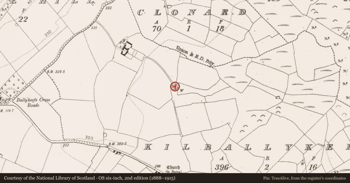 Ordnance Survey six-inch map, 2nd edition (1888–1915) covering the location of Moated site, Kilballykeefe, County Kilkenny, with a pin at the register's coordinates
