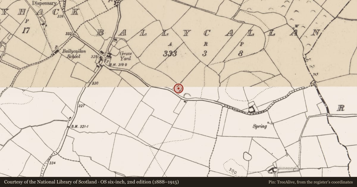 Ordnance Survey six-inch map, 2nd edition (1888–1915) covering the location of Enclosure, Ballycallan, County Kilkenny, with a pin at the register's coordinates