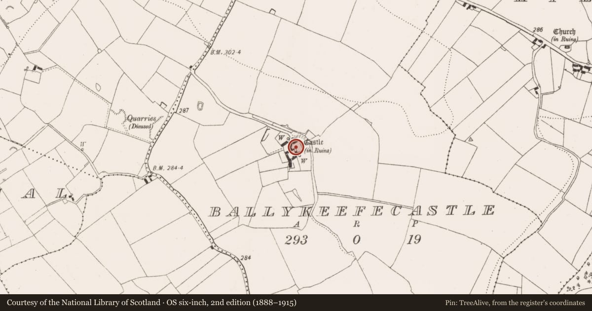 Ordnance Survey six-inch map, 2nd edition (1888–1915) covering the location of Bawn, Ballykeefecastle, County Kilkenny, with a pin at the register's coordinates