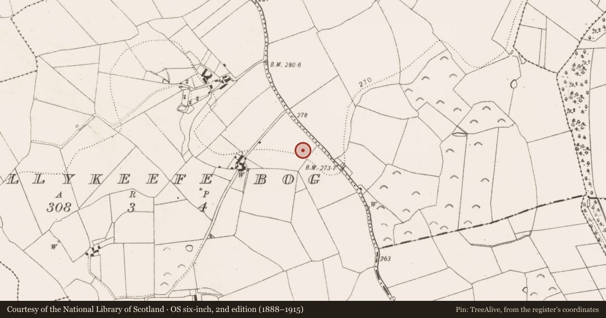 Ordnance Survey six-inch map, 2nd edition (1888–1915) covering the location of Enclosure, Ballykeefe Bog, County Kilkenny, with a pin at the register's coordinates