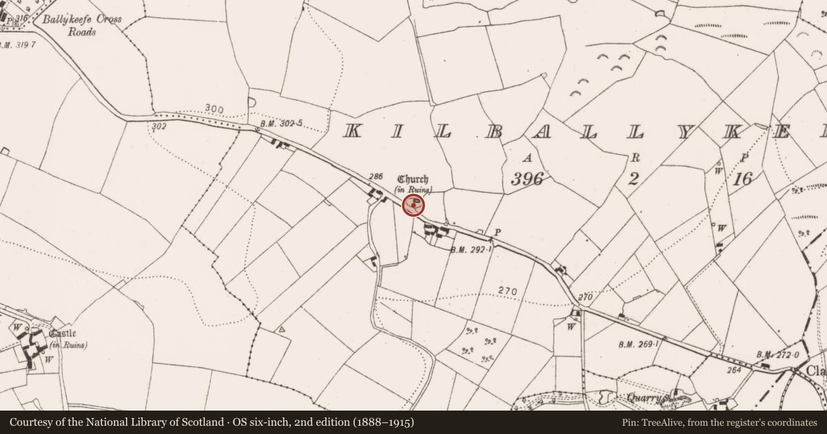 Ordnance Survey six-inch map, 2nd edition (1888–1915) covering the location of Graveyard, Kilballykeefe, County Kilkenny, with a pin at the register's coordinates