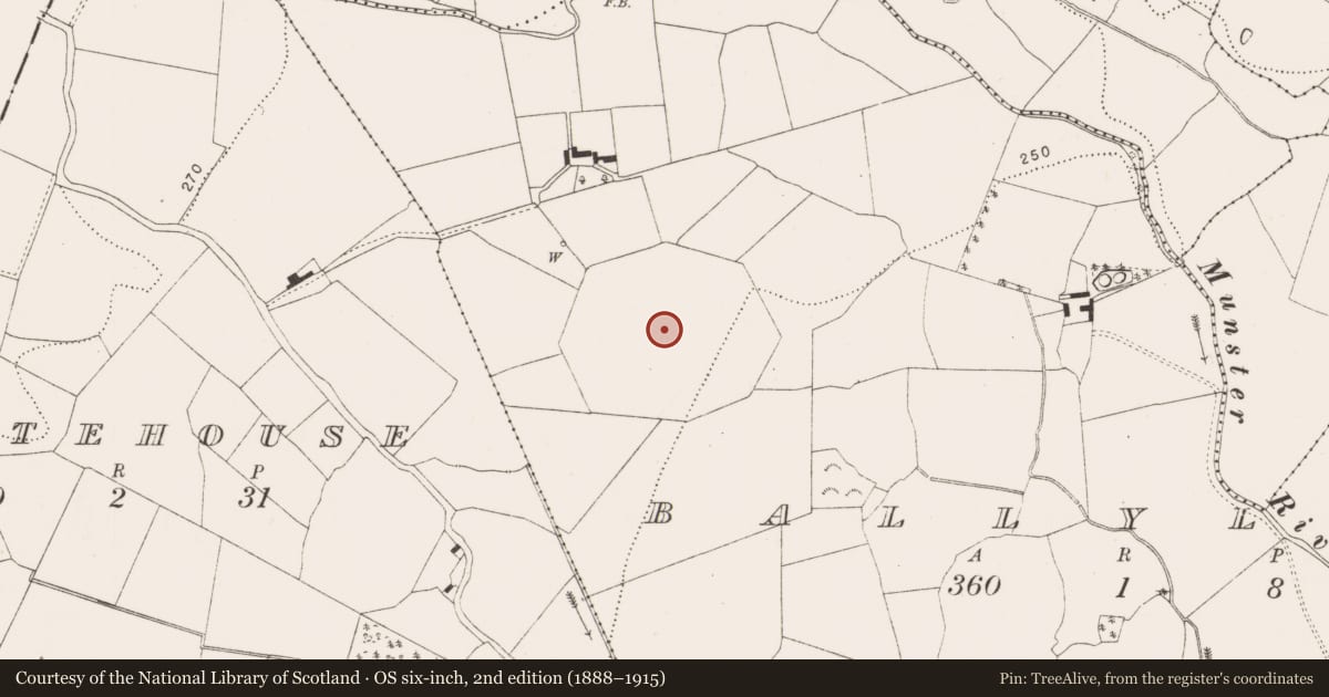Ordnance Survey six-inch map, 2nd edition (1888–1915) covering the location of Decoy pond, Ballyline, County Kilkenny, with a pin at the register's coordinates