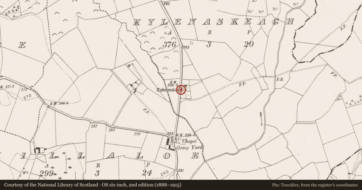 Ordnance Survey six-inch map, 2nd edition (1888–1915) covering the location of Ritual site - holy well, Kylenaskeagh, County Kilkenny, with a pin at the register's coordinates