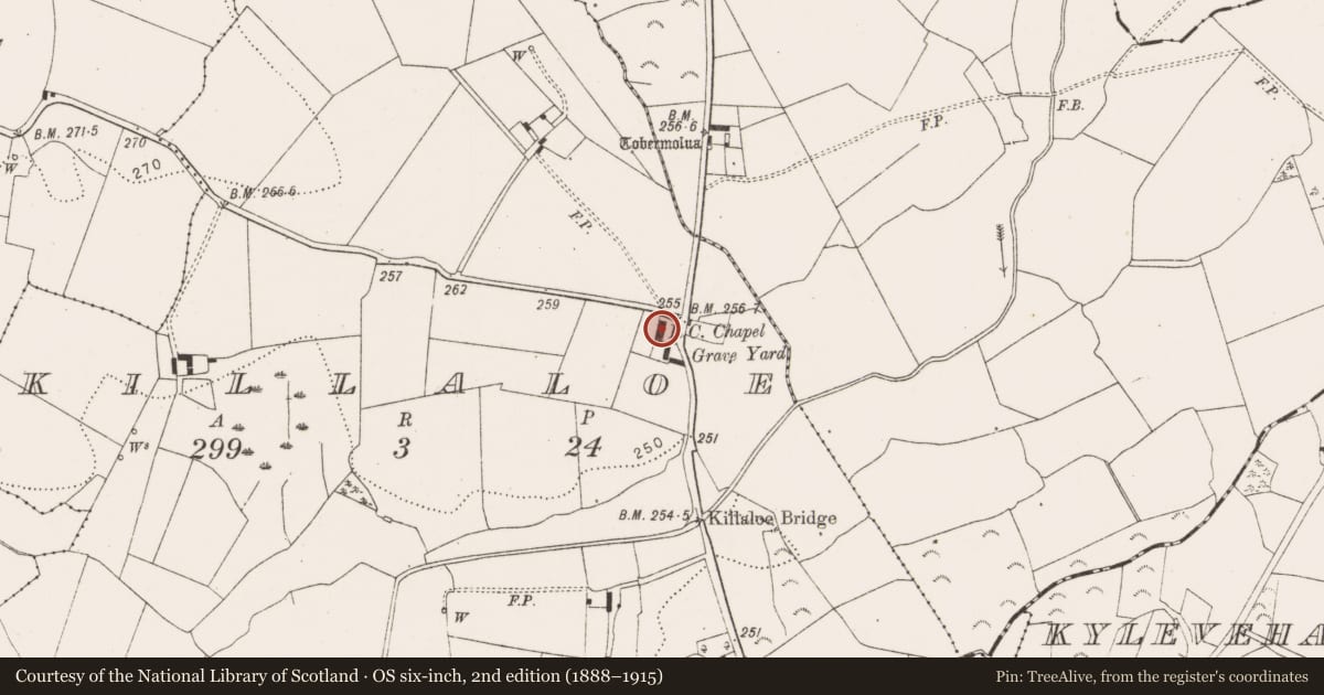 Ordnance Survey six-inch map, 2nd edition (1888–1915) covering the location of Church, Killaloe, County Kilkenny, with a pin at the register's coordinates