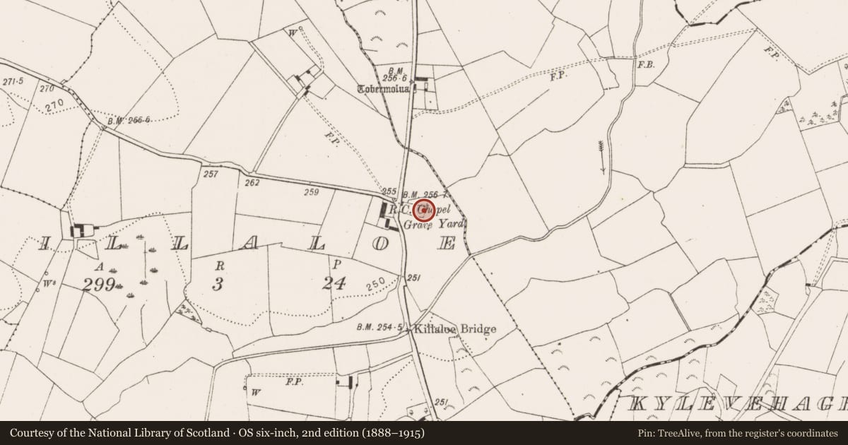 Ordnance Survey six-inch map, 2nd edition (1888–1915) covering the location of Graveslab, Killaloe, County Kilkenny, with a pin at the register's coordinates