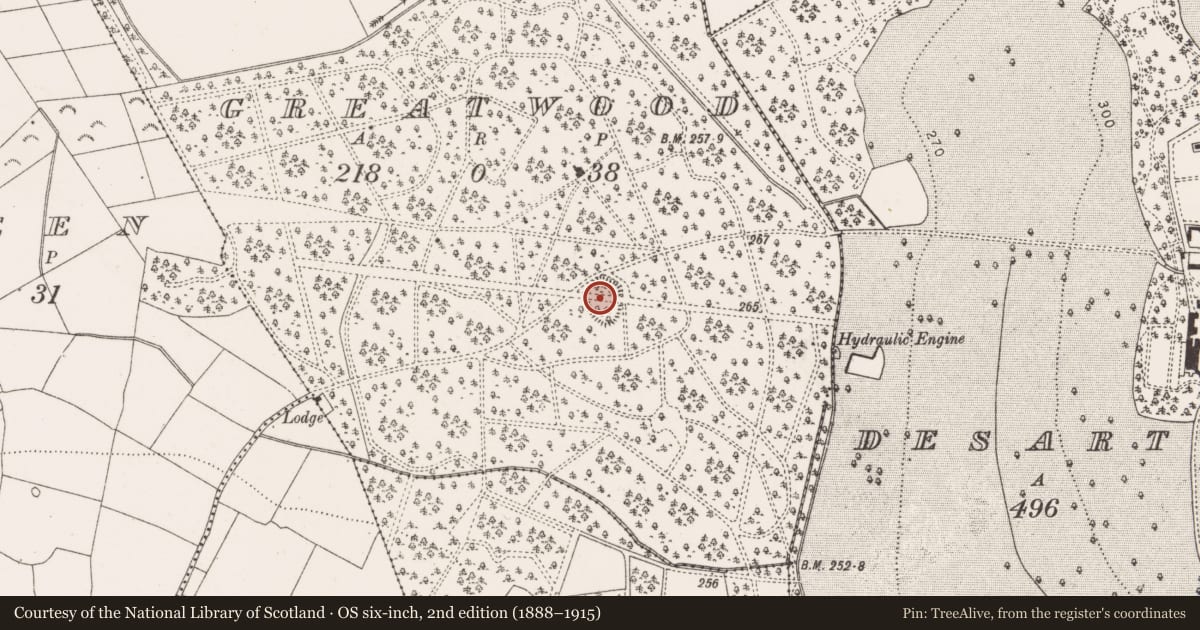 Ordnance Survey six-inch map, 2nd edition (1888–1915) covering the location of Church, Greatwood, County Kilkenny, with a pin at the register's coordinates