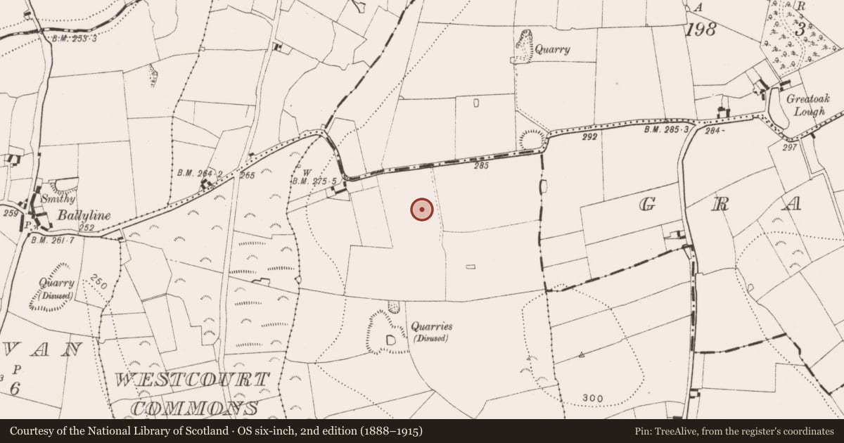 Ordnance Survey six-inch map, 2nd edition (1888–1915) covering the location of Enclosure, Ballywalter, County Kilkenny, with a pin at the register's coordinates