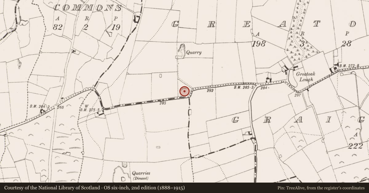 Ordnance Survey six-inch map, 2nd edition (1888–1915) covering the location of Ringfort - rath, Greatoak, County Kilkenny, with a pin at the register's coordinates