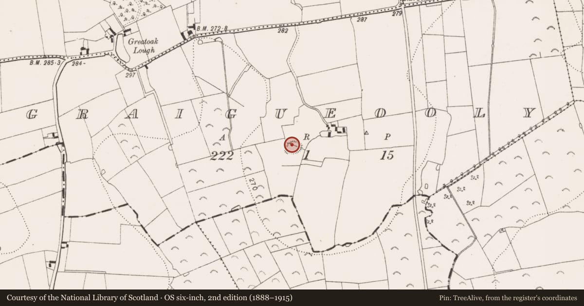 Ordnance Survey six-inch map, 2nd edition (1888–1915) covering the location of Ringfort - rath, Graigueooly, County Kilkenny, with a pin at the register's coordinates