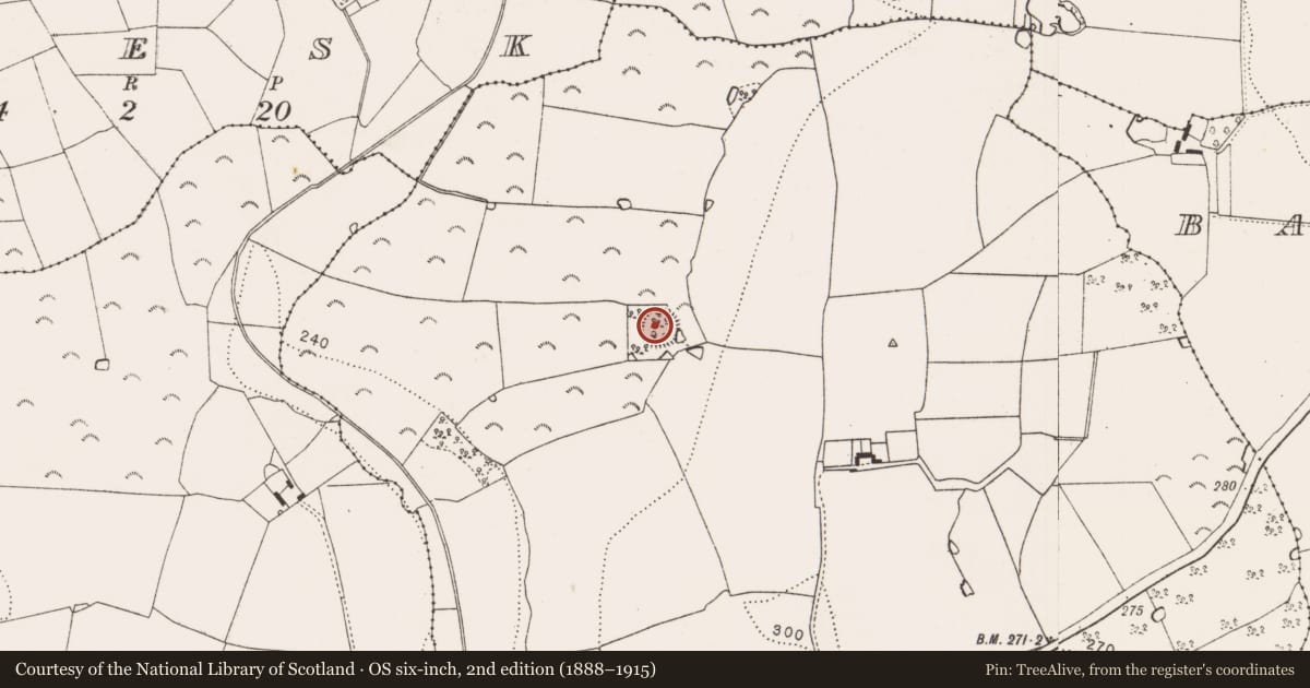 Ordnance Survey six-inch map, 2nd edition (1888–1915) covering the location of Enclosure, Tullamaine (Ashbrook), County Kilkenny, with a pin at the register's coordinates