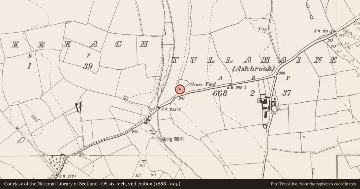 Ordnance Survey six-inch map, 2nd edition (1888–1915) covering the location of Settlement cluster, Tullamaine (Ashbrook), County Kilkenny, with a pin at the register's coordinates
