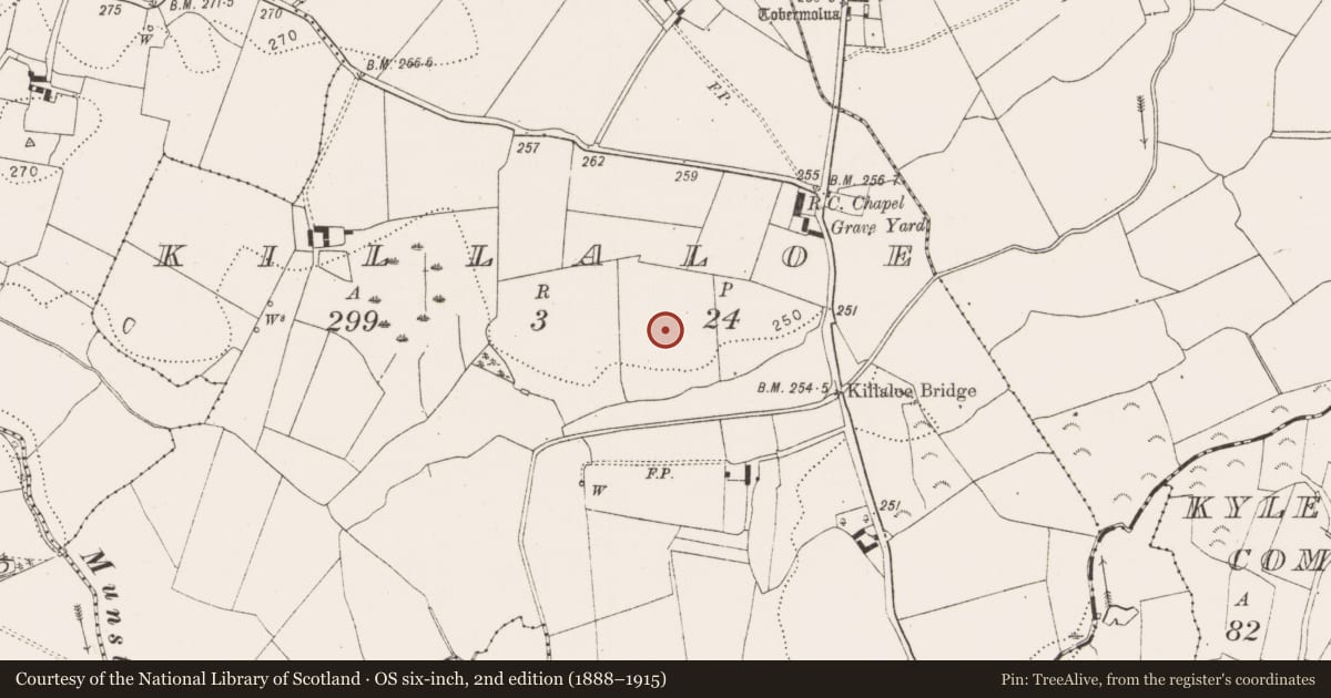 Ordnance Survey six-inch map, 2nd edition (1888–1915) covering the location of Earthwork, Killaloe, County Kilkenny, with a pin at the register's coordinates