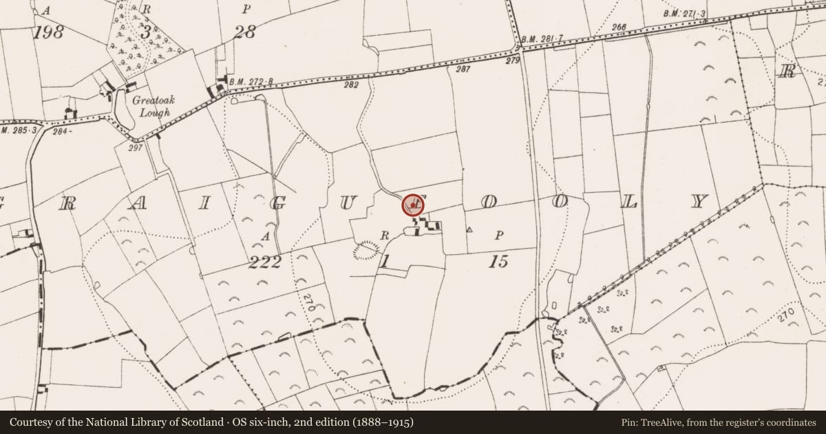 Ordnance Survey six-inch map, 2nd edition (1888–1915) covering the location of Burial, Graigueooly, County Kilkenny, with a pin at the register's coordinates