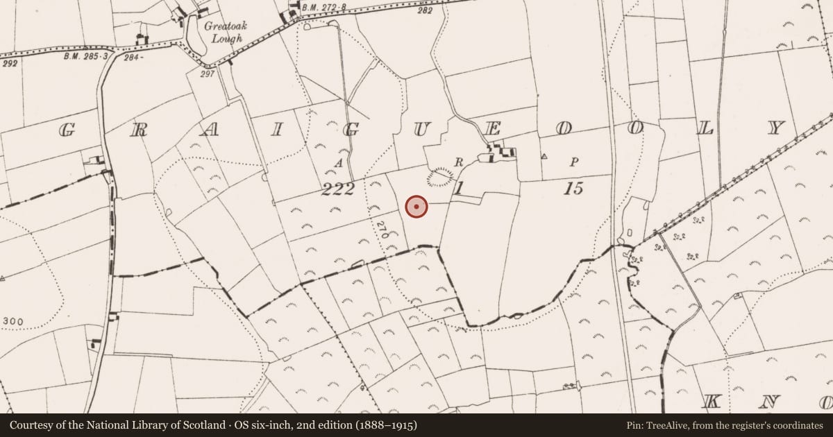 Ordnance Survey six-inch map, 2nd edition (1888–1915) covering the location of Fulacht fia, Graigueooly, County Kilkenny, with a pin at the register's coordinates