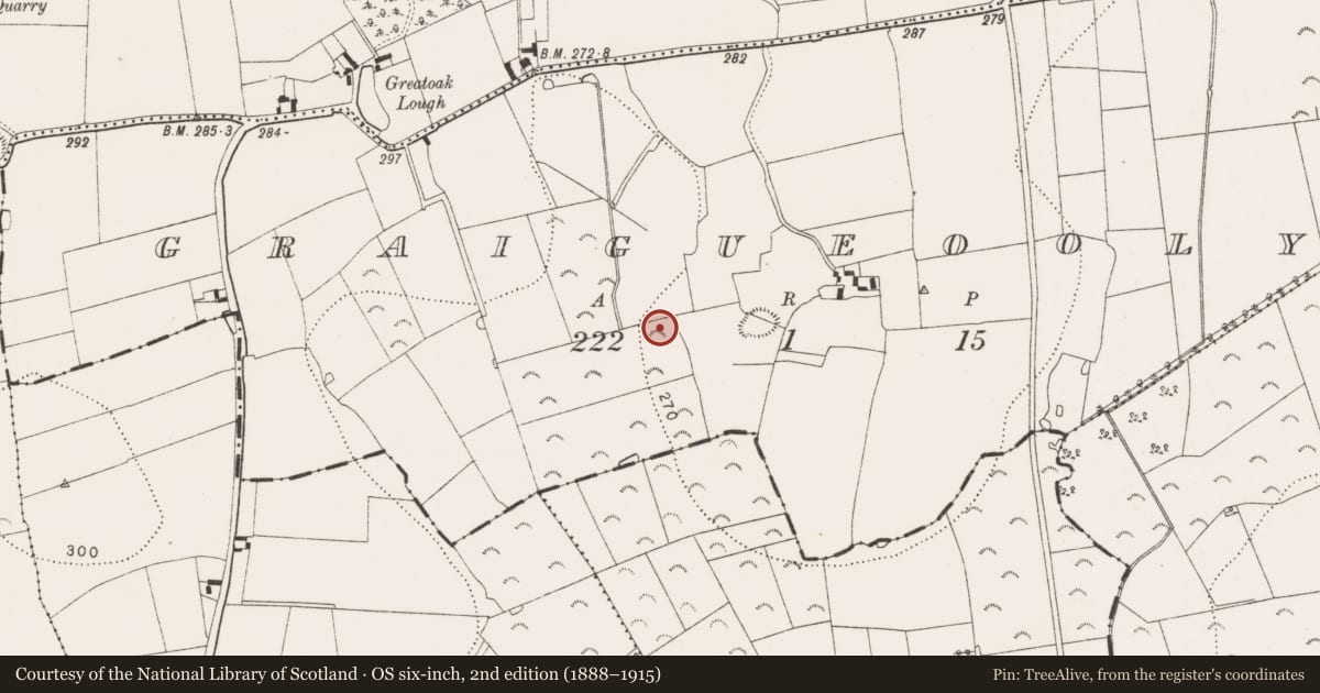 Ordnance Survey six-inch map, 2nd edition (1888–1915) covering the location of Fulacht fia, Graigueooly, County Kilkenny, with a pin at the register's coordinates