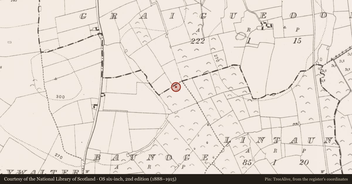Ordnance Survey six-inch map, 2nd edition (1888–1915) covering the location of Fulacht fia, Baunoge, County Kilkenny, with a pin at the register's coordinates