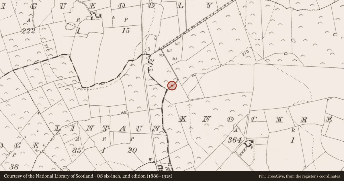 Ordnance Survey six-inch map, 2nd edition (1888–1915) covering the location of Fulacht fia, Knockreagh, County Kilkenny, with a pin at the register's coordinates