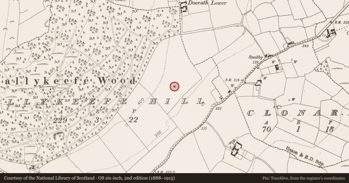 Ordnance Survey six-inch map, 2nd edition (1888–1915) covering the location of Enclosure - large enclosure, Ballykeefe Hill, County Kilkenny, with a pin at the register's coordinates
