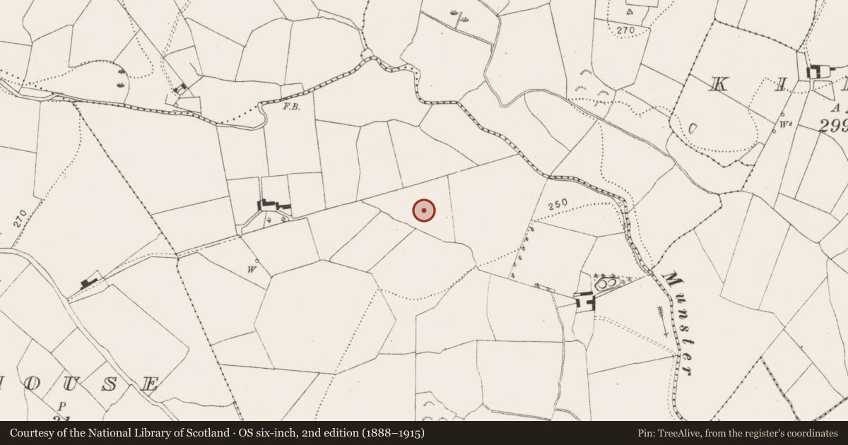 Ordnance Survey six-inch map, 2nd edition (1888–1915) covering the location of Burnt mound, Ballyline, County Kilkenny, with a pin at the register's coordinates