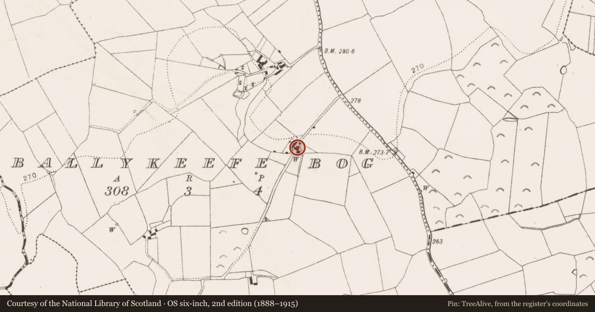 Ordnance Survey six-inch map, 2nd edition (1888–1915) covering the location of Architectural fragment, Ballykeefe Bog, County Kilkenny, with a pin at the register's coordinates