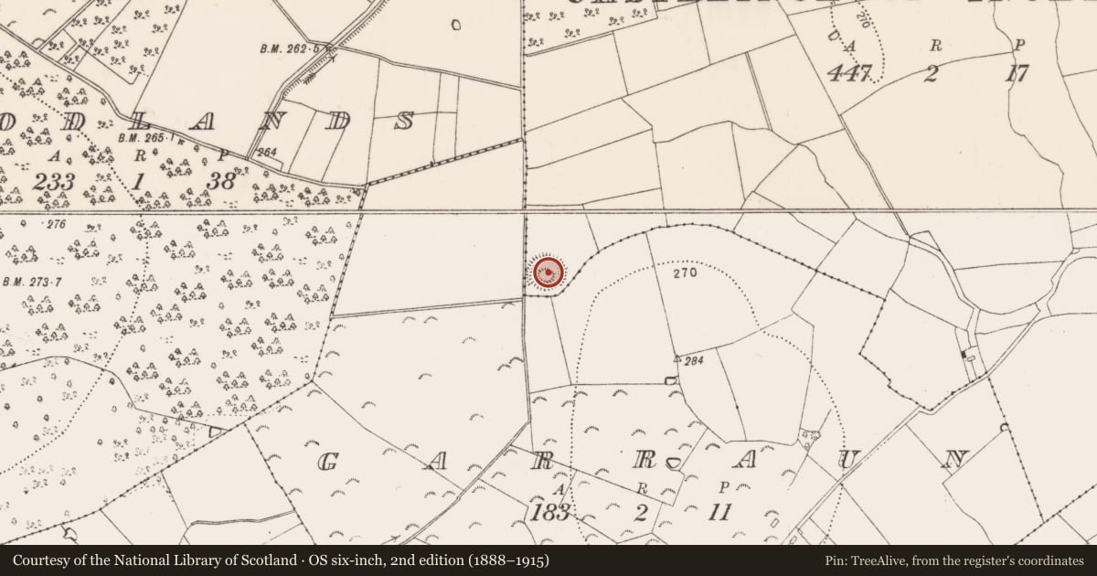 Ordnance Survey six-inch map, 2nd edition (1888–1915) covering the location of Enclosure, Castleinch Or Inchyolaghan, County Kilkenny, with a pin at the register's coordinates