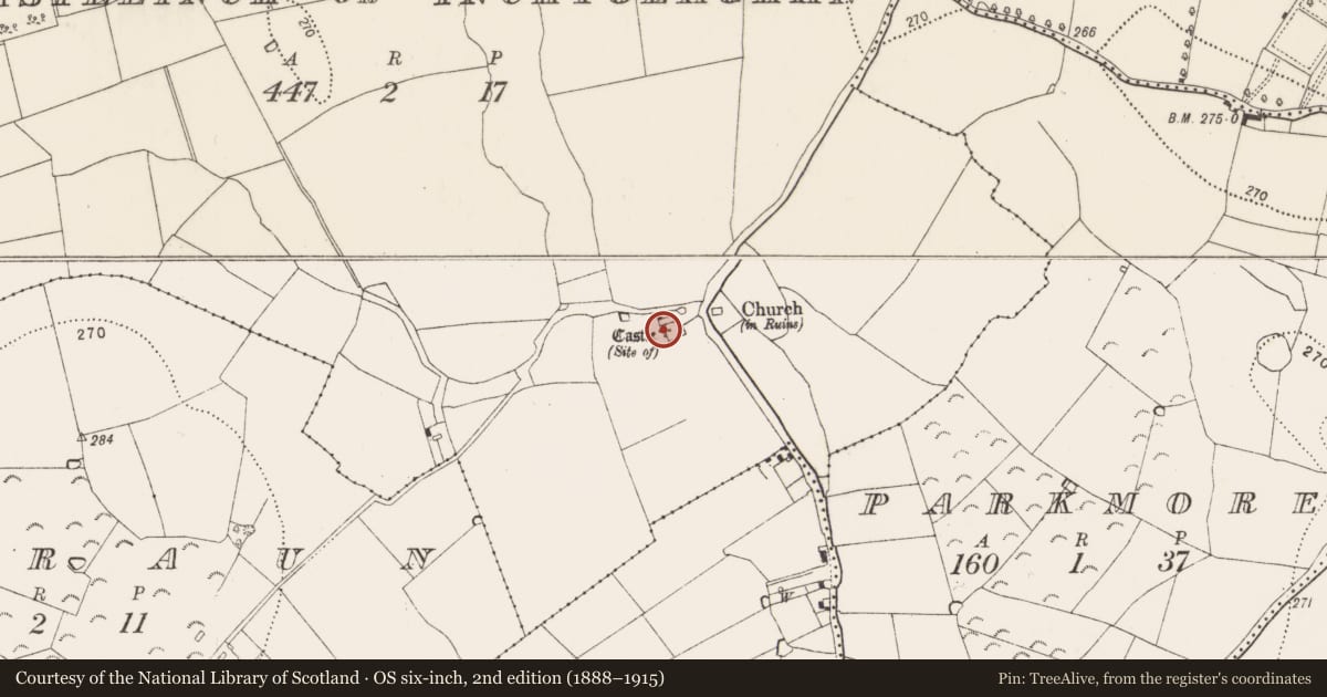 Ordnance Survey six-inch map, 2nd edition (1888–1915) covering the location of Castle - unclassified, Castleinch Or Inchyolaghan, County Kilkenny, with a pin at the register's coordinates