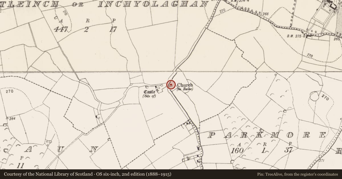 Ordnance Survey six-inch map, 2nd edition (1888–1915) covering the location of Church, Castleinch Or Inchyolaghan, County Kilkenny, with a pin at the register's coordinates