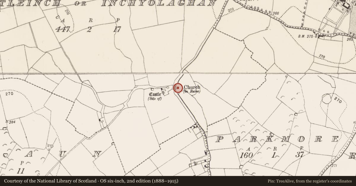 Ordnance Survey six-inch map, 2nd edition (1888–1915) covering the location of Graveyard, Castleinch Or Inchyolaghan, County Kilkenny, with a pin at the register's coordinates