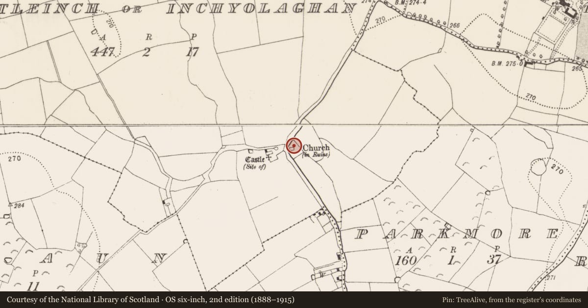 Ordnance Survey six-inch map, 2nd edition (1888–1915) covering the location of Wall monument, Castleinch Or Inchyolaghan, County Kilkenny, with a pin at the register's coordinates