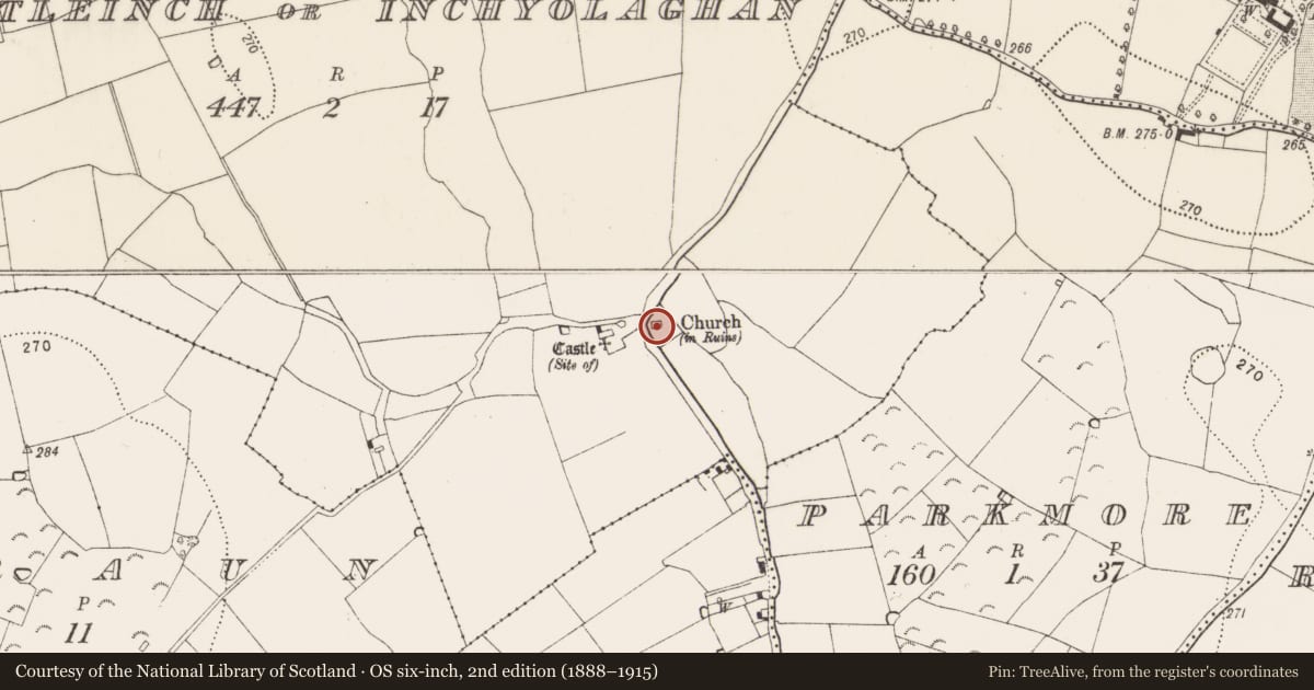Ordnance Survey six-inch map, 2nd edition (1888–1915) covering the location of Tomb - effigial, Castleinch Or Inchyolaghan, County Kilkenny, with a pin at the register's coordinates