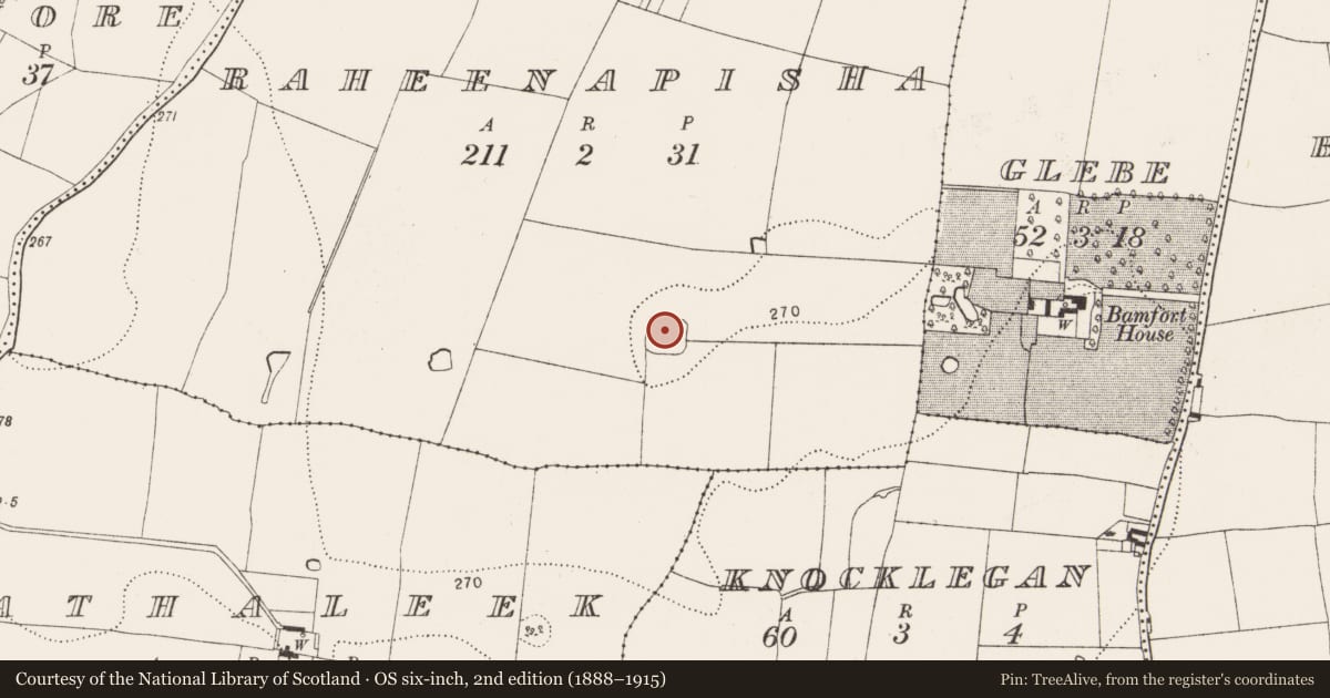 Ordnance Survey six-inch map, 2nd edition (1888–1915) covering the location of Moated site, Raheenapisha, County Kilkenny, with a pin at the register's coordinates