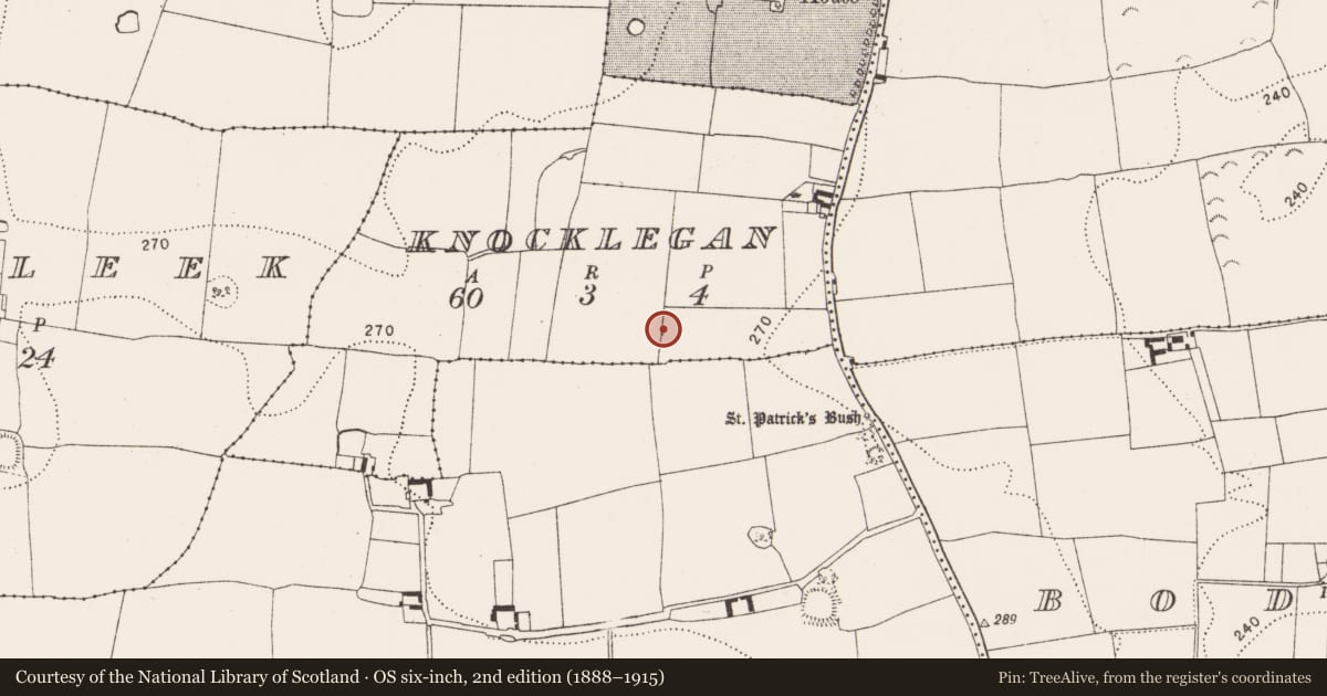 Ordnance Survey six-inch map, 2nd edition (1888–1915) covering the location of Standing stone, Knocklegan, County Kilkenny, with a pin at the register's coordinates