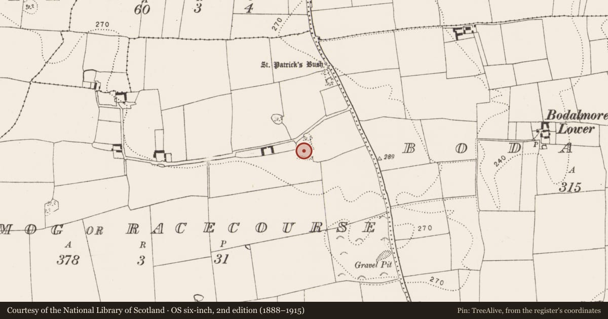 Ordnance Survey six-inch map, 2nd edition (1888–1915) covering the location of Enclosure, Kilmog Or Racecourse, County Kilkenny, with a pin at the register's coordinates