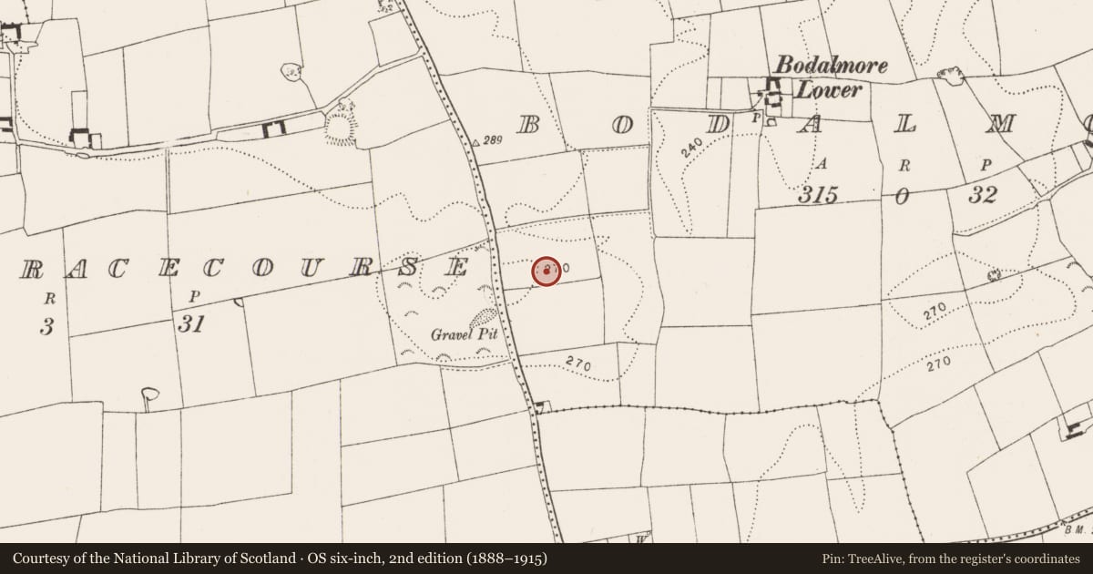 Ordnance Survey six-inch map, 2nd edition (1888–1915) covering the location of Enclosure, Bodalmore, County Kilkenny, with a pin at the register's coordinates