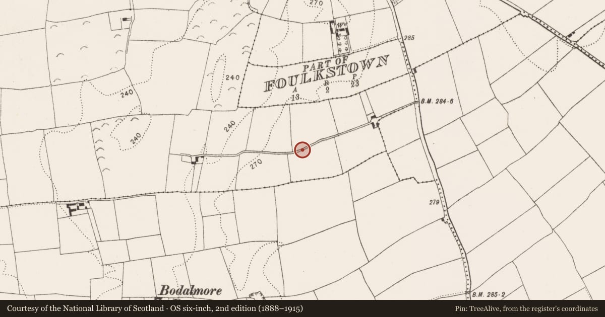 Ordnance Survey six-inch map, 2nd edition (1888–1915) covering the location of Field system, Ballynalina, County Kilkenny, with a pin at the register's coordinates