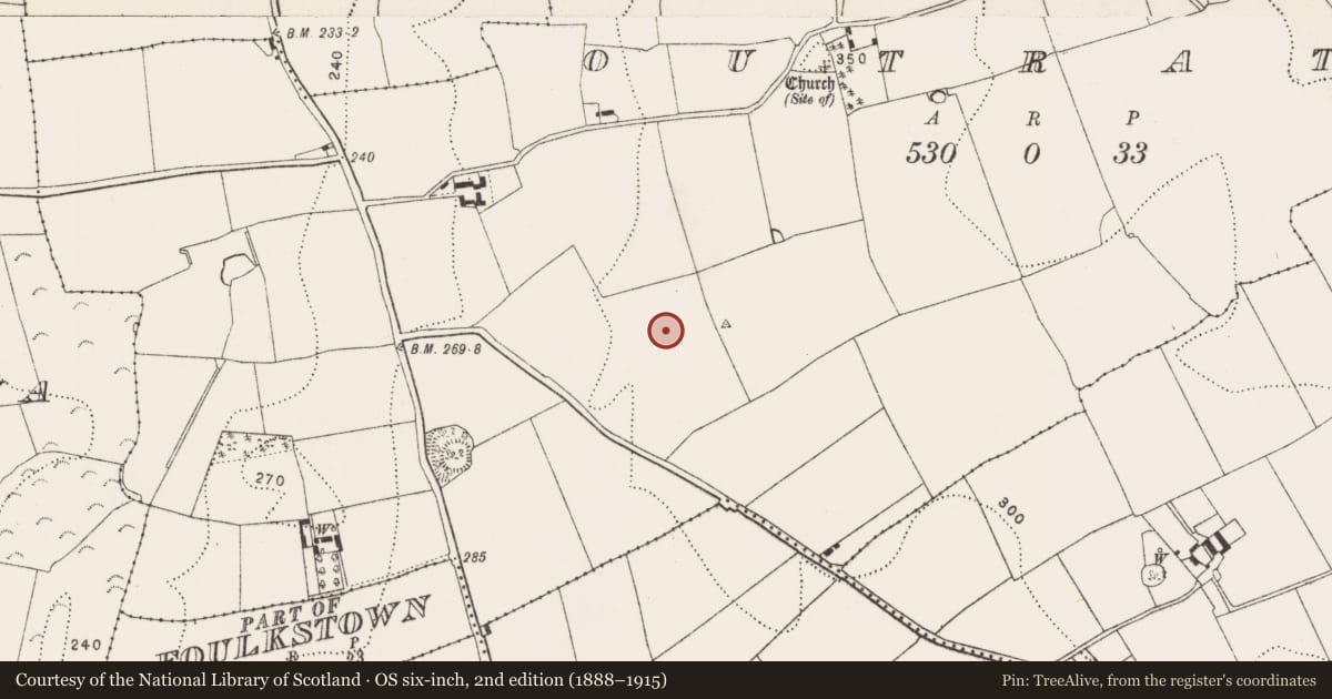 Ordnance Survey six-inch map, 2nd edition (1888–1915) covering the location of Field system, Outrath, County Kilkenny, with a pin at the register's coordinates