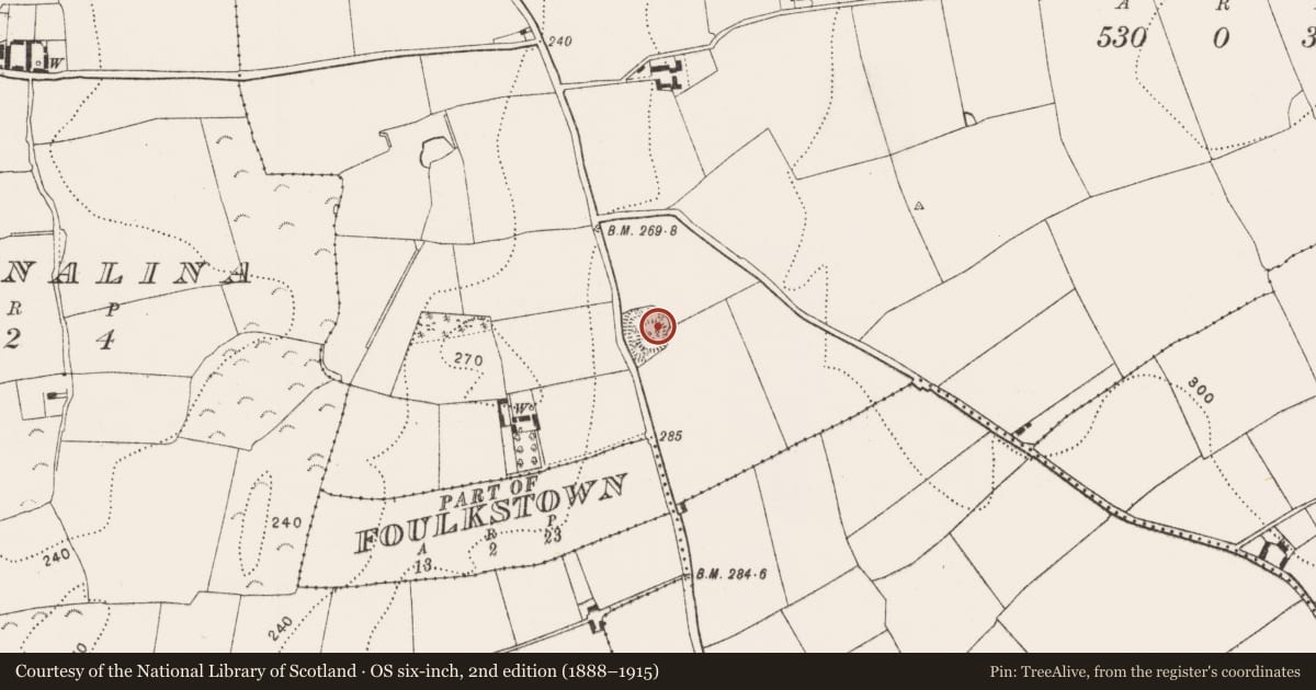Ordnance Survey six-inch map, 2nd edition (1888–1915) covering the location of Concentric enclosure, Outrath, County Kilkenny, with a pin at the register's coordinates