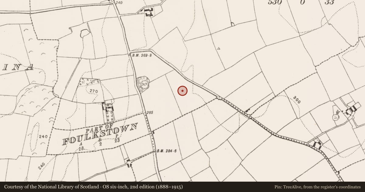Ordnance Survey six-inch map, 2nd edition (1888–1915) covering the location of Enclosure, Outrath, County Kilkenny, with a pin at the register's coordinates