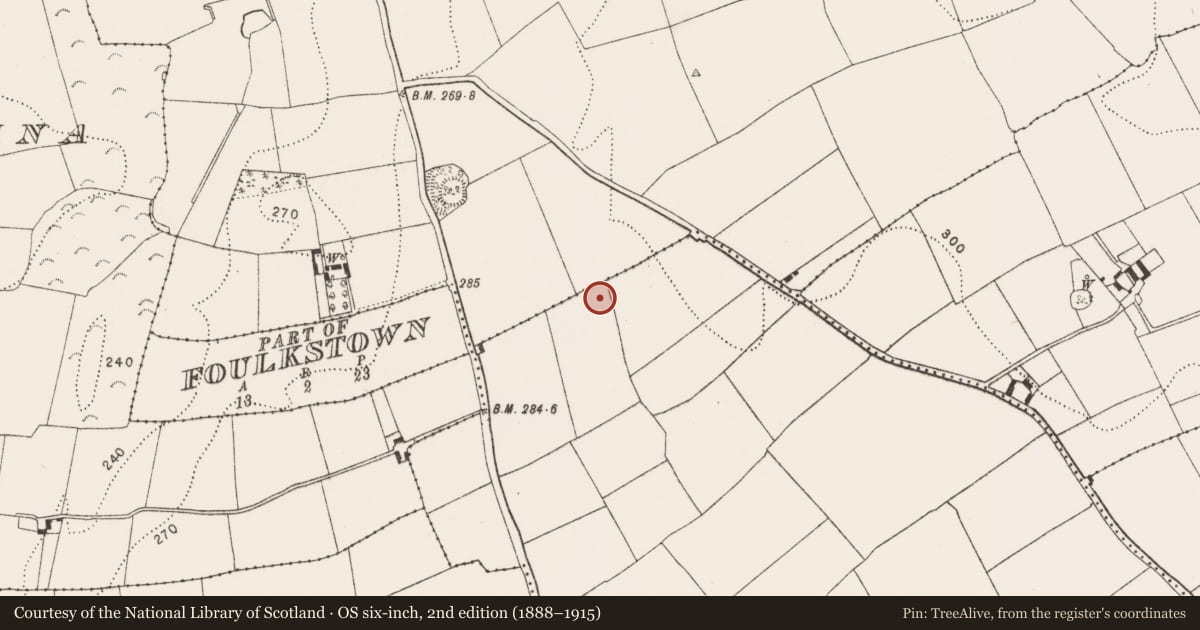 Ordnance Survey six-inch map, 2nd edition (1888–1915) covering the location of Enclosure, Grevine East, County Kilkenny, with a pin at the register's coordinates
