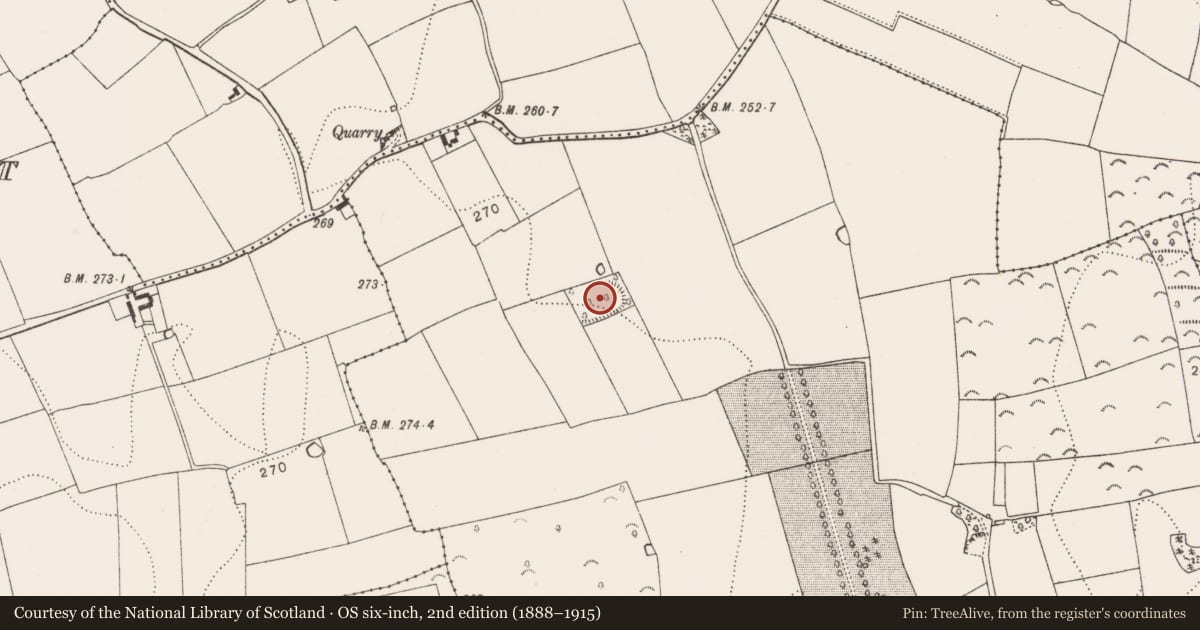 Ordnance Survey six-inch map, 2nd edition (1888–1915) covering the location of Enclosure, Kilree, County Kilkenny, with a pin at the register's coordinates