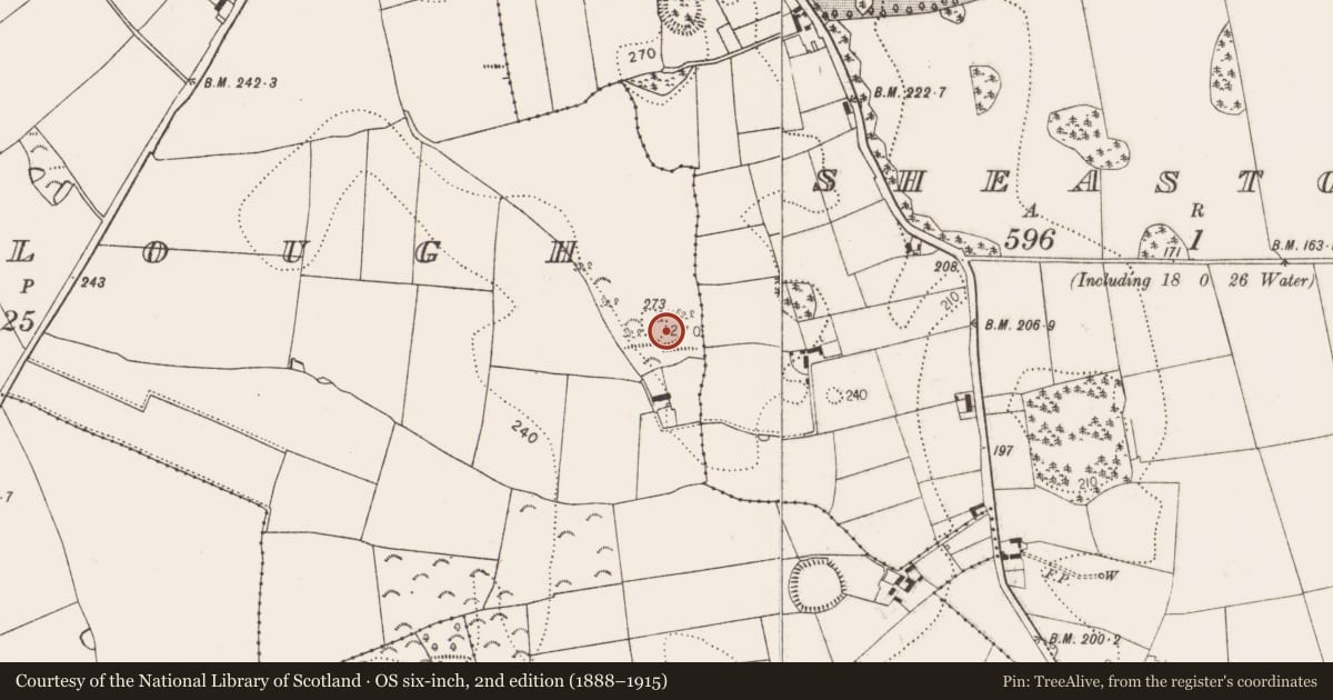 Ordnance Survey six-inch map, 2nd edition (1888–1915) covering the location of Enclosure, Wallslough, County Kilkenny, with a pin at the register's coordinates