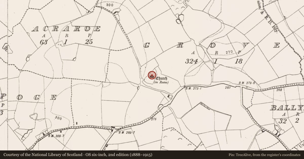 Ordnance Survey six-inch map, 2nd edition (1888–1915) covering the location of Tomb - chest tomb, Grove, County Kilkenny, with a pin at the register's coordinates
