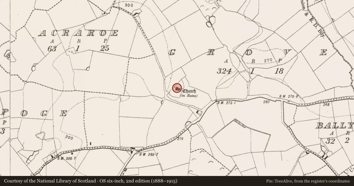 Ordnance Survey six-inch map, 2nd edition (1888–1915) covering the location of Graveslab, Grove, County Kilkenny, with a pin at the register's coordinates