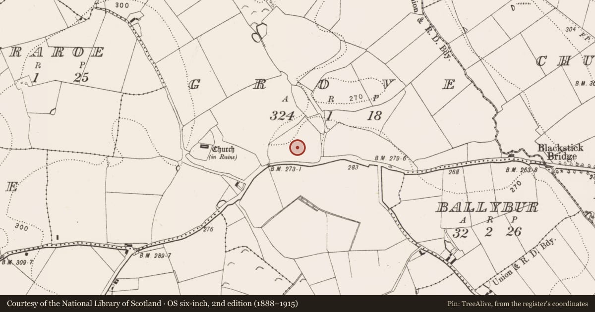 Ordnance Survey six-inch map, 2nd edition (1888–1915) covering the location of Settlement deserted - medieval, Grove, County Kilkenny, with a pin at the register's coordinates